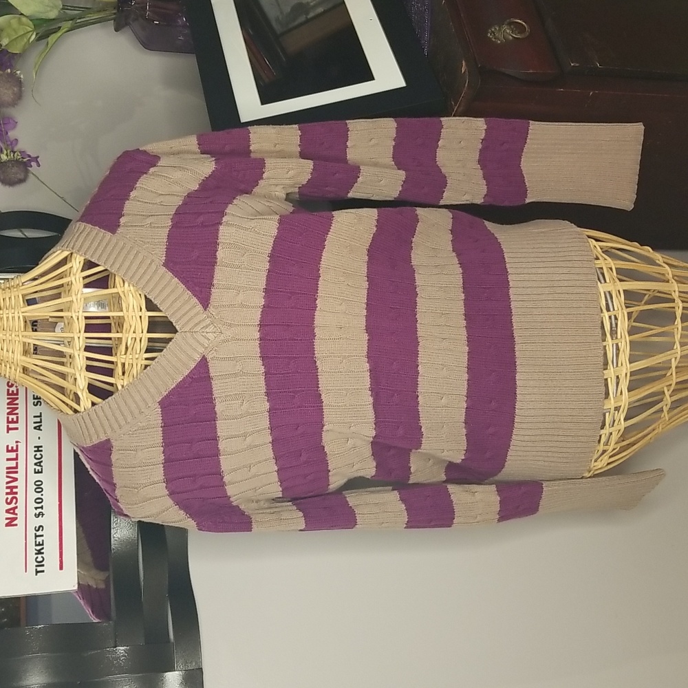 liz & co. Extra Large Purple and Tan Striped Long Sleeve V-neck Knit Sweater